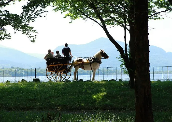 Guest house Lake Lodge Guesthouse 4*