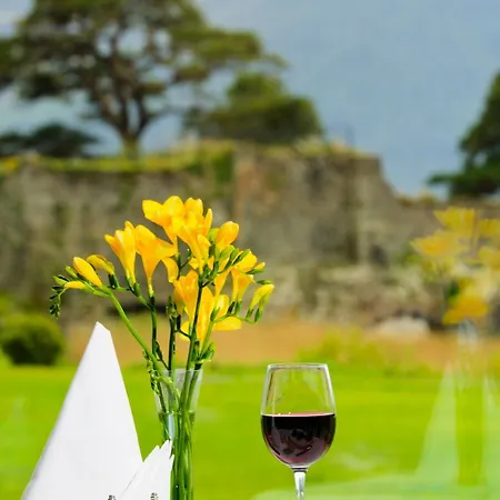 Lake Lodge Guesthouse Penzion Killarney