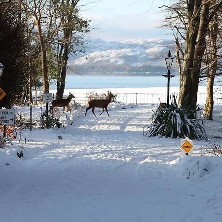 Lake Lodge Guesthouse 4* Killarney