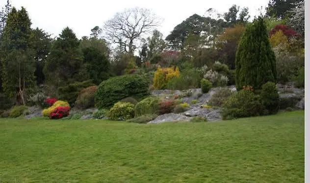 Lake Lodge Guesthouse Killarney