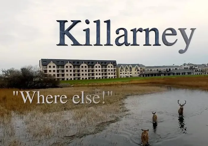 Lake Lodge Guesthouse 4* Killarney